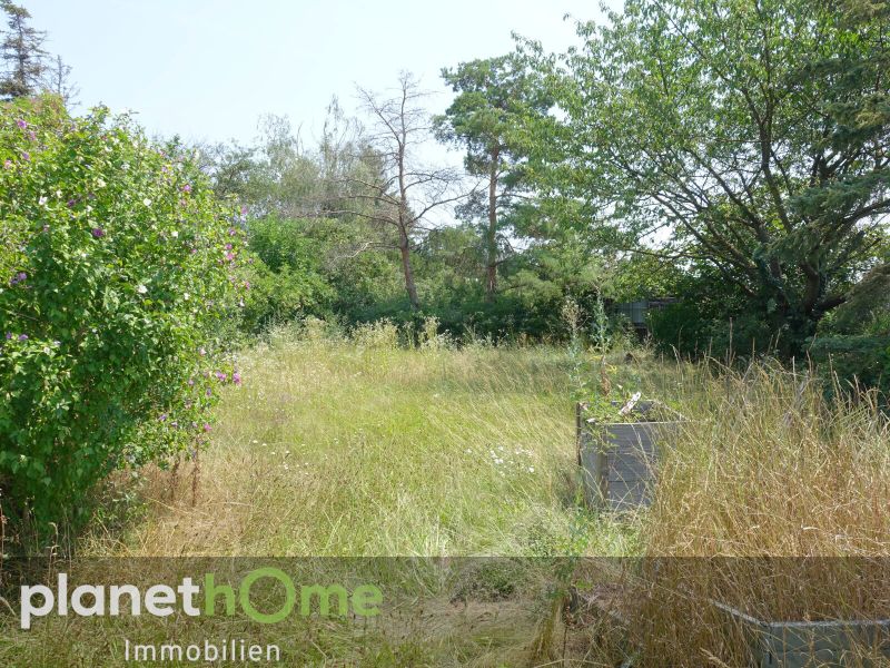 Einfamilienhaus mit Potential /  / 1220 Wien / Bild 1