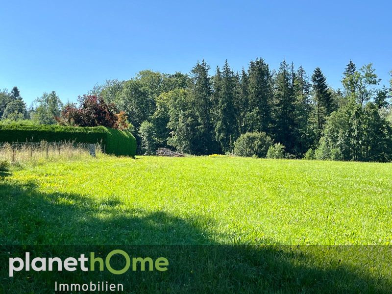 Ebenes Baugrundstck mit Wohntraumpotential /  / 5141 Moosdorf / Bild 2