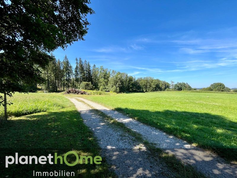 Ebenes Baugrundstck mit Wohntraumpotential /  / 5141 Moosdorf / Bild 4