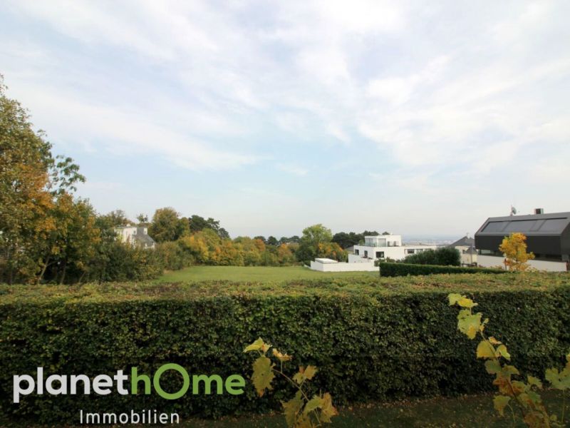 Luxusschlssl vor den Toren Wiens! /  / 2372 Giehbl / Bild 3