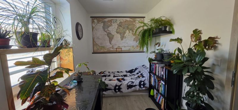 Wohnen mit Stil ? modern, hochwertig und mitten im Herzen von Oberpullendorf / / 7350 Oberpullendorf, / Bild 6
