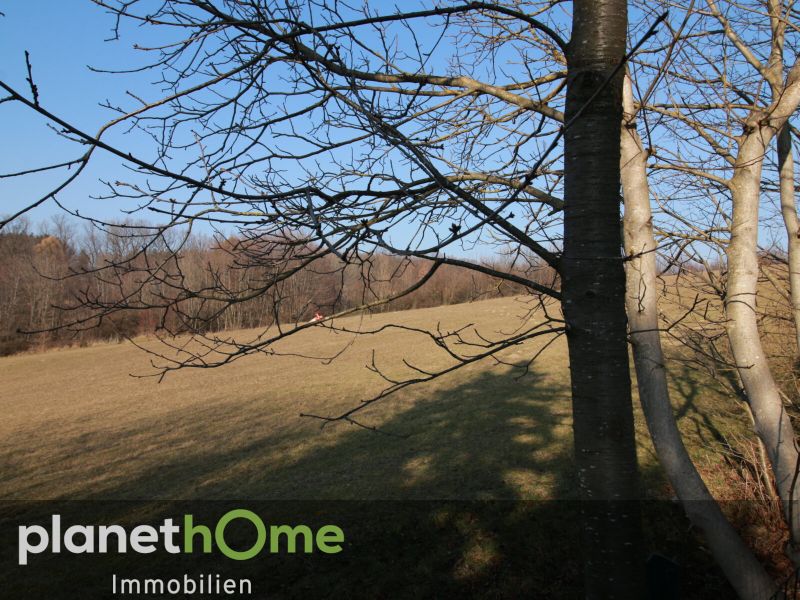 Auf Tuchfhlung mit der Natur - nahe der Grostadt /  / 2384 Breitenfurt bei Wien / Bild 3