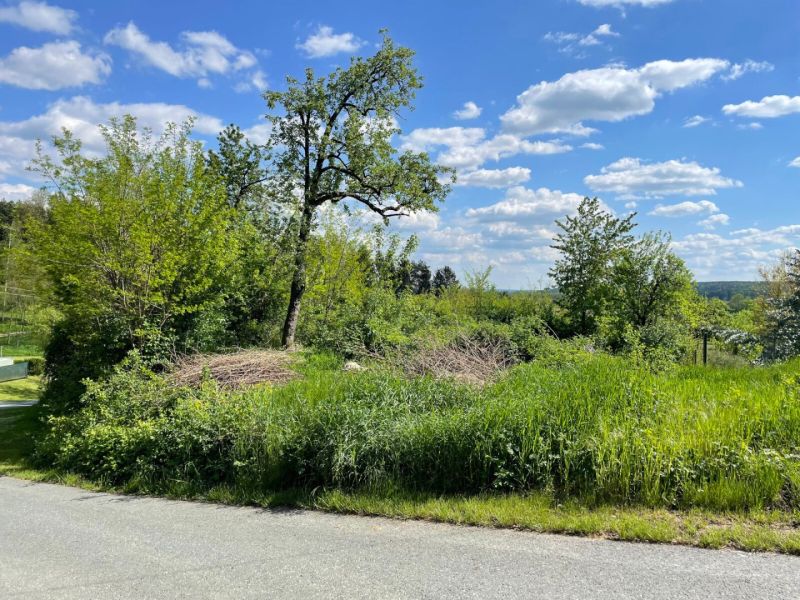 Baugrund in Aussichtslage! /  / 7461 Altschlaining / Bild 5