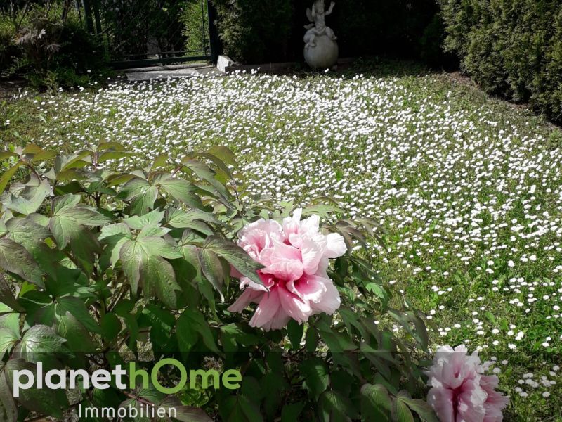 5-Zimmer-Reihenhaus mit Terrassen und Garten /  / 1210 Wien / Bild 1