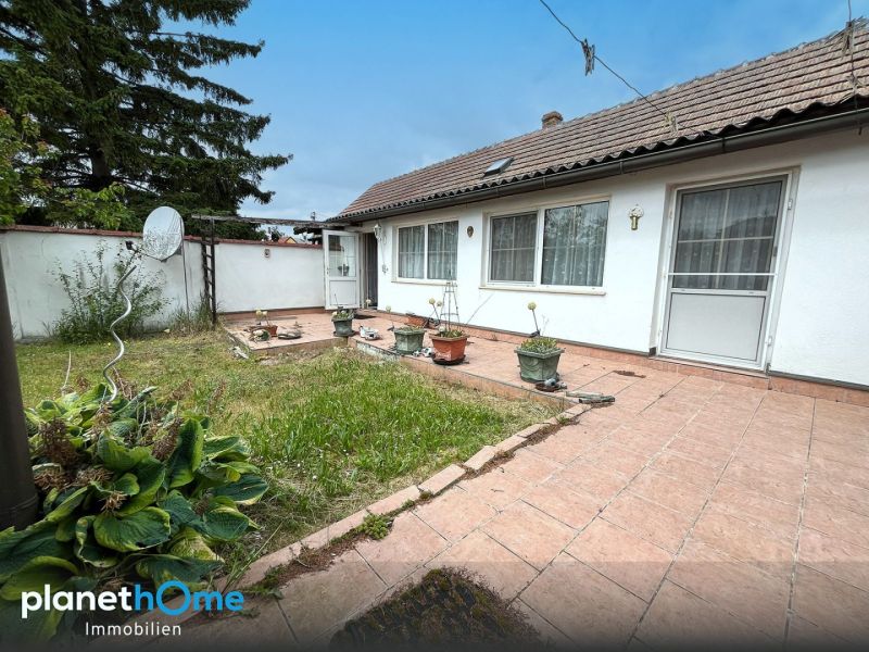 Charmanter Bungalow mit Nebengebäude ? Weinkeller und ca. 1.142 m² Acker im idyllischen Weinviertel / / 2143 Großkrut / Bild 9