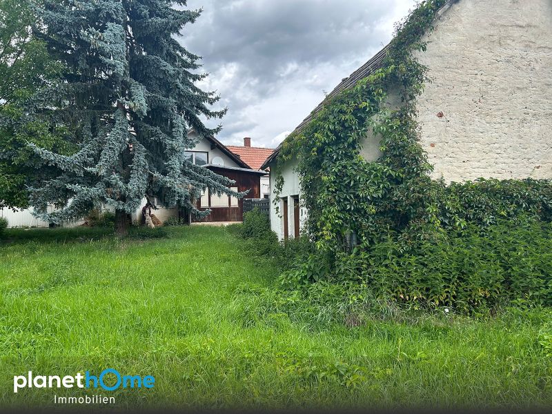 Renovierungsbedürftiges Wohnhaus mit viel Entwicklungspotenzial / / 7443 Rattersdorf / Bild 9