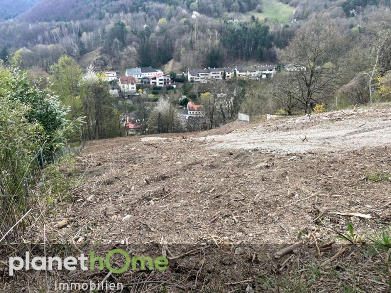 Grundst�ck in Hanglage in Kaltenleutgeben