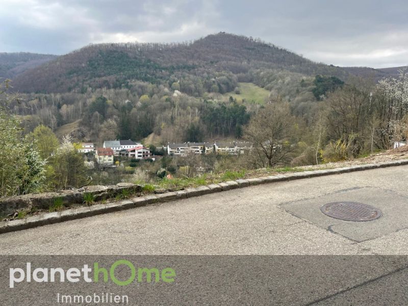 Grundstck in Hanglage in Kaltenleutgeben /  / 2391 Kaltenleutgeben / Bild 3