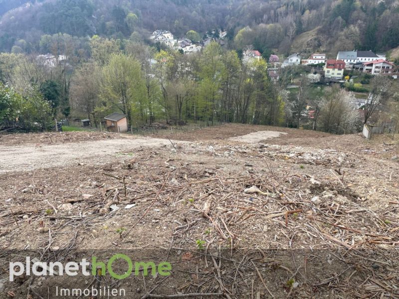Grundstck in Hanglage in Kaltenleutgeben