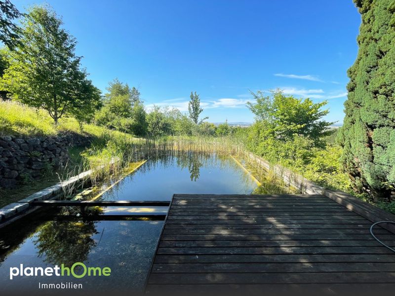 Traumhaus in Traumlage! Ein Juwel im Tullnerfeld mit Naturpool und Grnblick!  /  / 3441 Baumgarten / Bild 3