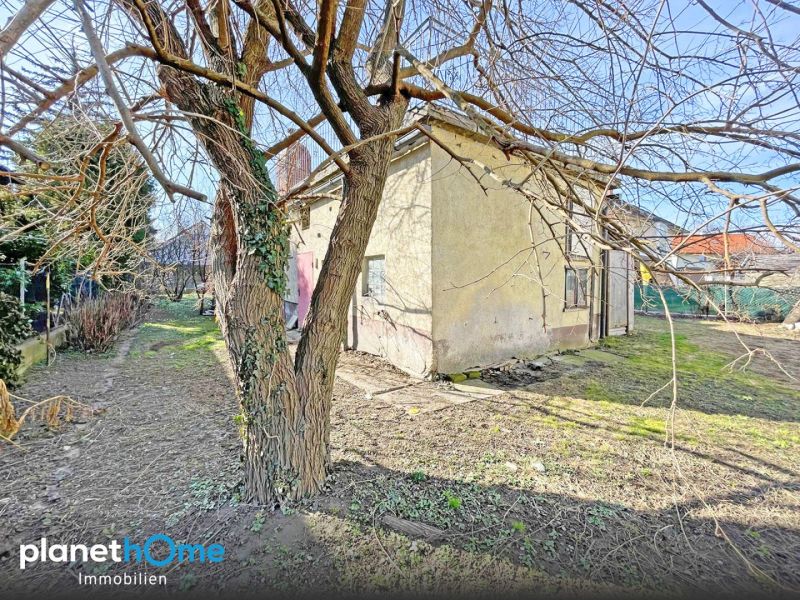 Urbanes Wohnen im Gr�nen! /  / 1220&nbsp;Wien / Bild 5