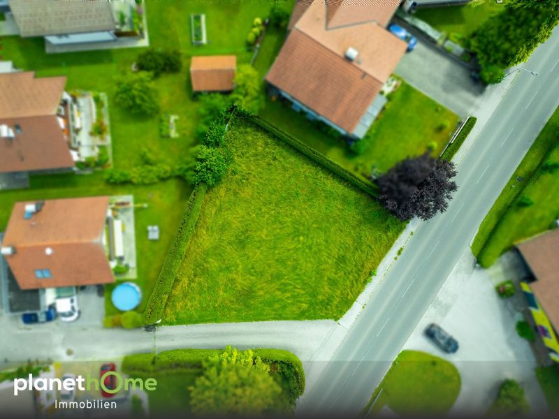 Familien-Baugrundstck in Seenhe /  / 5202 Neumarkt am Wallersee / Bild 1
