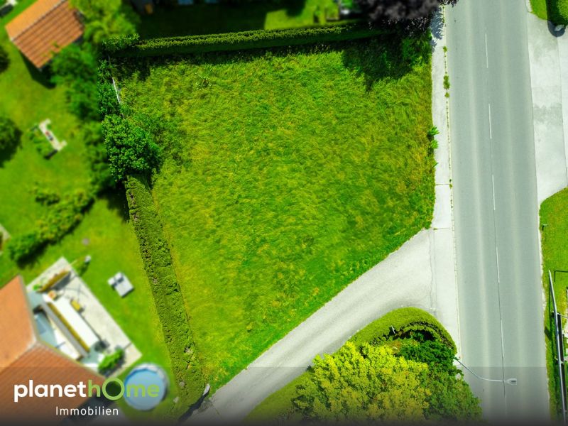 Familien-Baugrundstck in Seenhe /  / 5202 Neumarkt am Wallersee / Bild 2