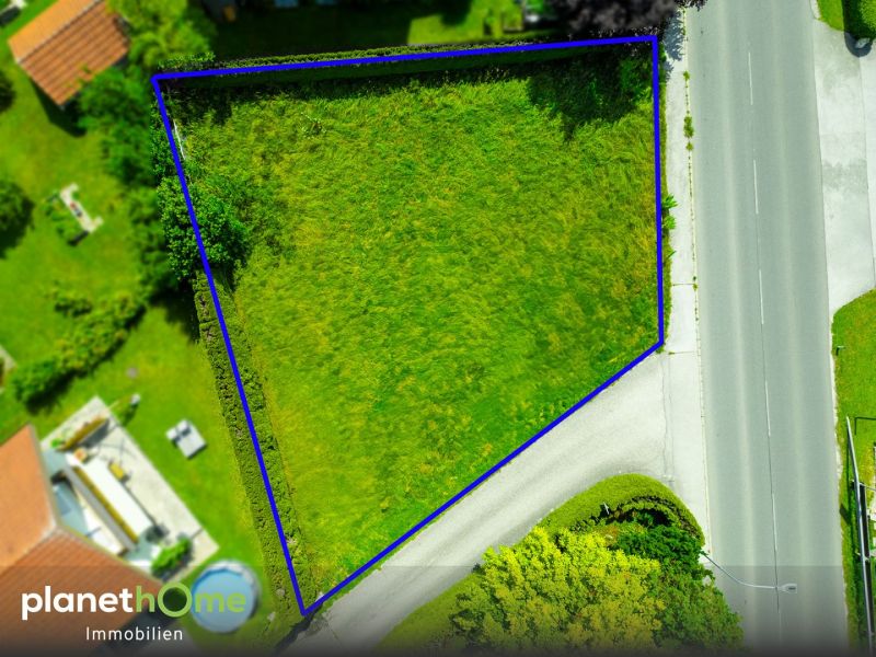 Familien-Baugrundstck in Seenhe /  / 5202 Neumarkt am Wallersee / Bild 3
