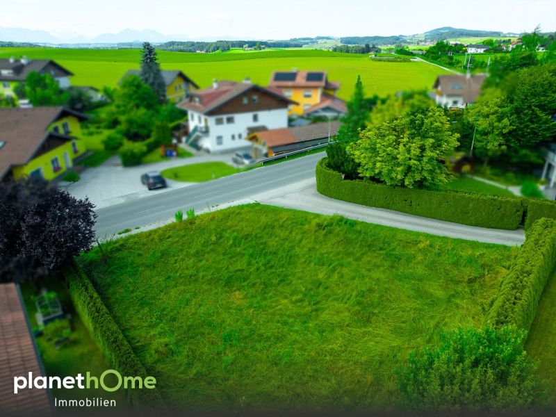 Familien-Baugrundstck in Seenhe /  / 5202 Neumarkt am Wallersee / Bild 5