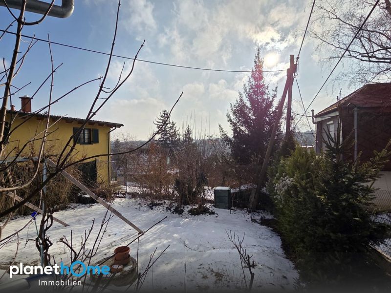 Kleingartengrundst�ck in der Alszeile /  / 1170&nbsp;Wien / Bild 3