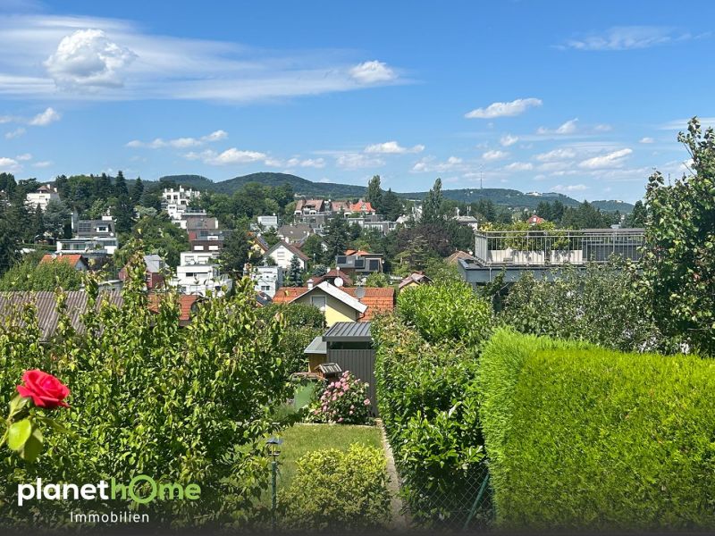 Raritt ? Baugrundstck am Schafberg: Panoramablick vom Kahlenberg bis zur City /  / 1180 Wien / Bild 5