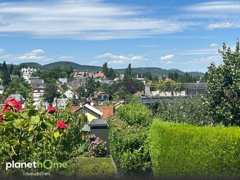 Raritt ? Baugrundstck am Schafberg: Panoramablick vom Kahlenberg bis zur City