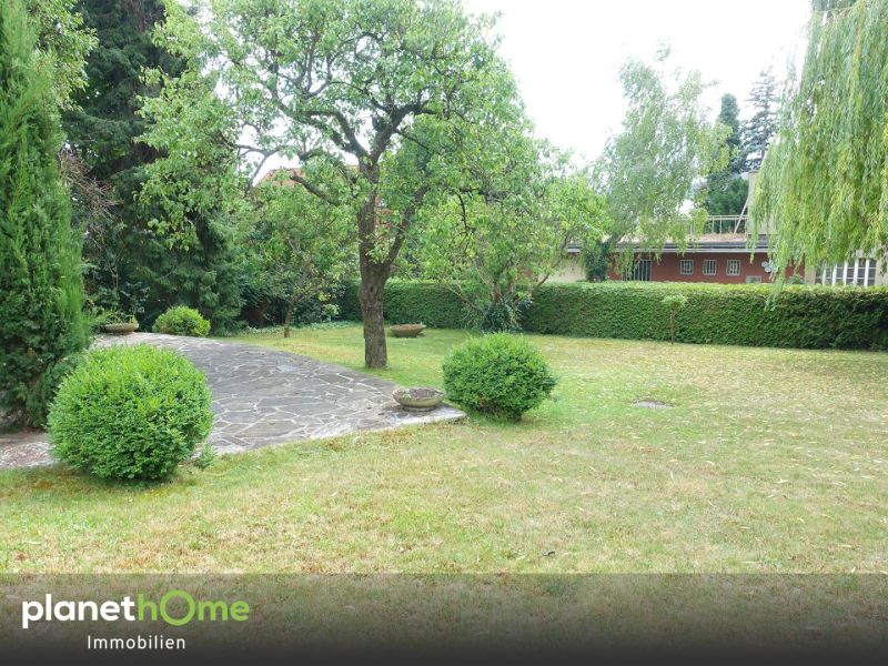 Traumgrundst�ck am K�niglberg