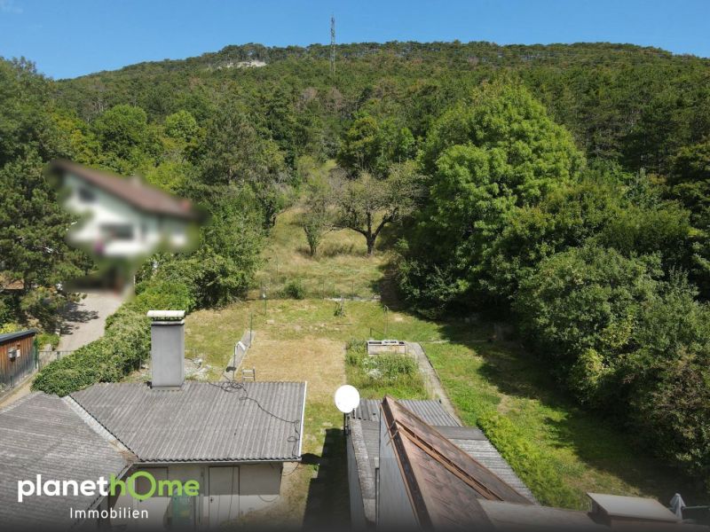 Variantenreich Wohnen, 
Grundstck mit viel Zukunftspotenzial /  / 2752 Wllersdorf / Bild 3