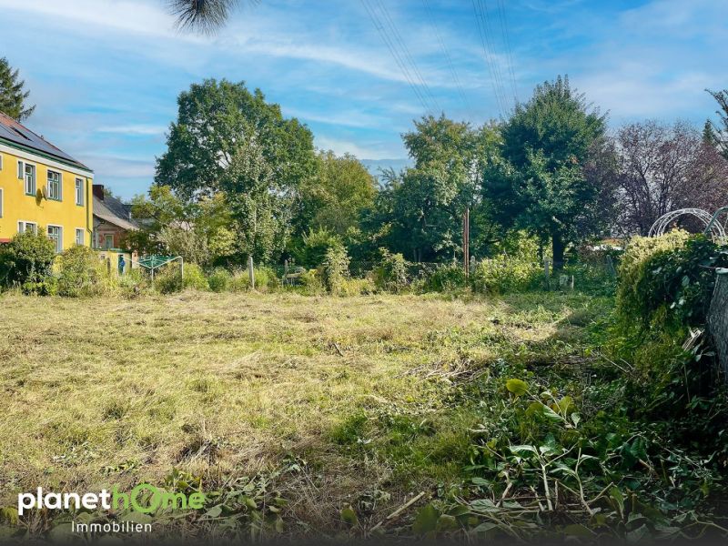 Traumhafter Eigengrund im nordwestlichen Speckgrtel Wiens /  / 2103 Langenzersdorf / Bild 5