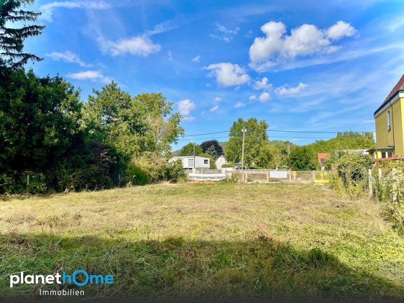 Rar aber wahr! Eigengrund in Langenzersdorf