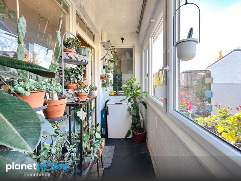 Durchdachter Wohntraum! Charmante 2-Zimmer-Wohnung mit Loggia in super Lage. / / 1210 Wien / Bild 7