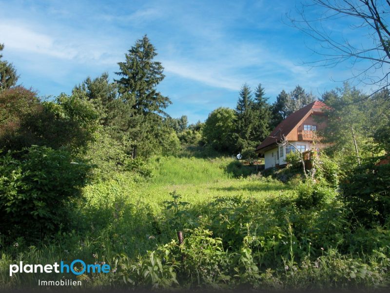An der Wiener Stadtgrenze ? zwei nebeneinanderliegende Grundstücke in Toplage bei Hagenbrunn!
