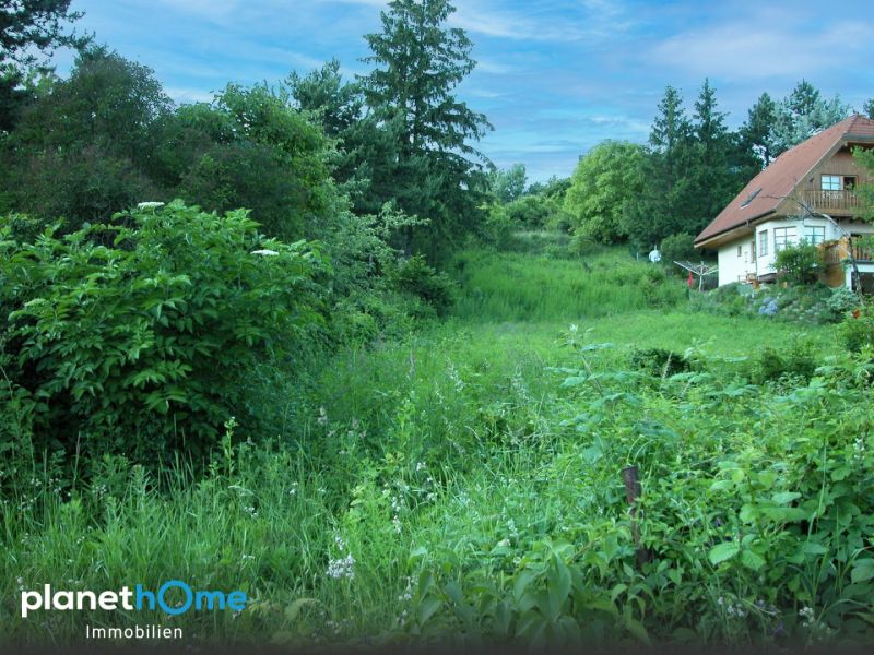An der Wiener Stadtgrenze ? zwei nebeneinanderliegende Grundstücke in Toplage bei Hagenbrunn! / / 2102 Hagenbrunn / Bild 2