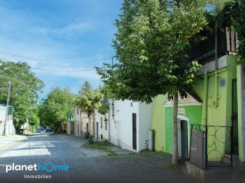 An der Wiener Stadtgrenze ? zwei nebeneinanderliegende Grundstücke in Toplage bei Hagenbrunn! / / 2102 Hagenbrunn / Bild 3