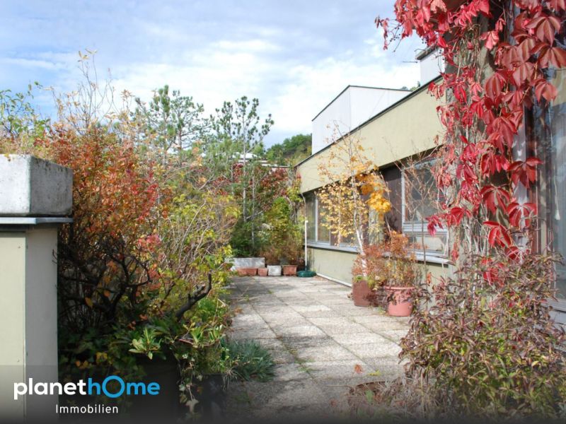 Rohdiamant in Toplage! Ca. 147 m² Wohnfläche + ca. 56 m² Terrasse + Fernblick ? zum Gestalten. / / 1170 Wien / Bild 8