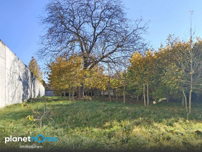 Hervorragende Infrastruktur in naturnaher Lage! /  / 2432 Schwadorf / Bild 2