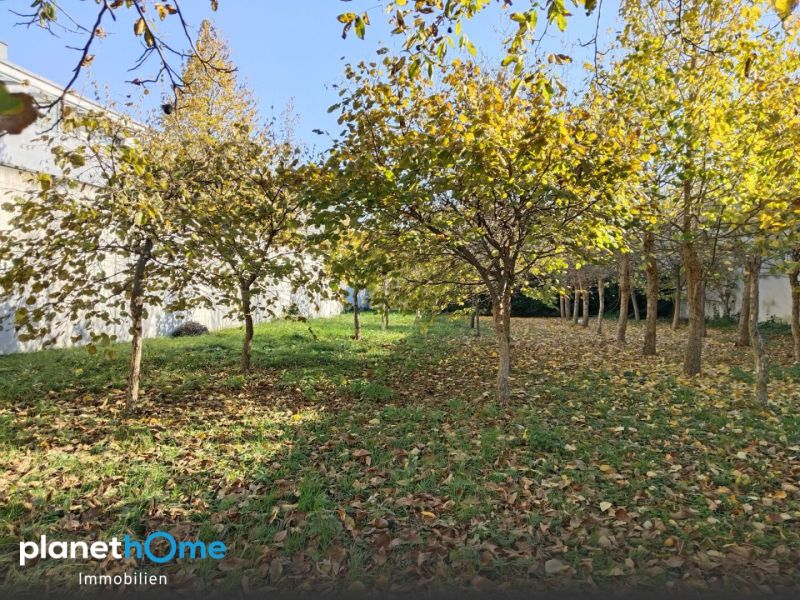 Hervorragende Infrastruktur in naturnaher Lage! /  / 2432 Schwadorf / Bild 3