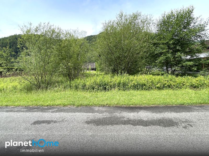 Bauland: Grundstück mit ca. 840 m² zum sehr guten Preis / / 4382 St. Nikola an der Donau / Bild 1