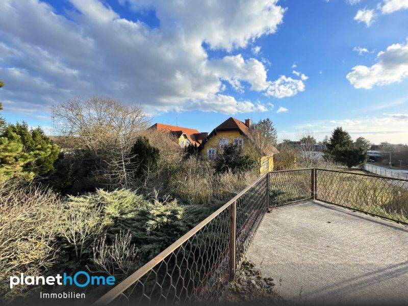 Großes, gut teilbares Baugrundstück mit Abbruchgebäude! / / 1220 Wien / Bild 0