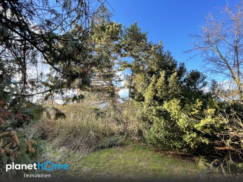 Großes, gut teilbares Baugrundstück mit Abbruchgebäude! / / 1220 Wien / Bild 3