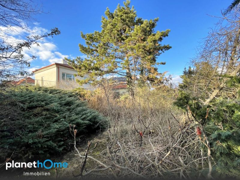 Großes, gut teilbares Baugrundstück mit Abbruchgebäude! / / 1220 Wien / Bild 4