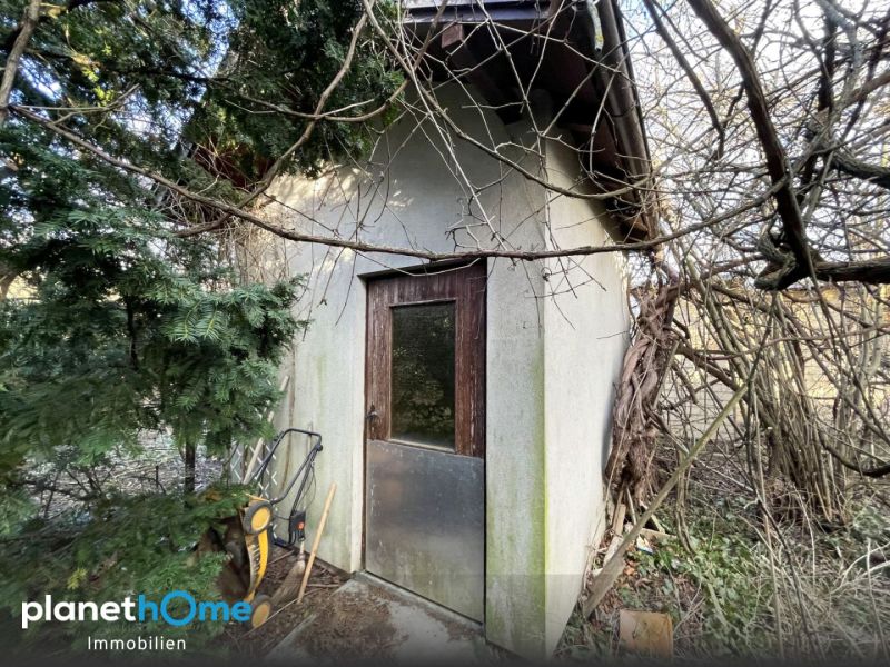 Großes, gut teilbares Baugrundstück mit Abbruchgebäude! / / 1220 Wien / Bild 9