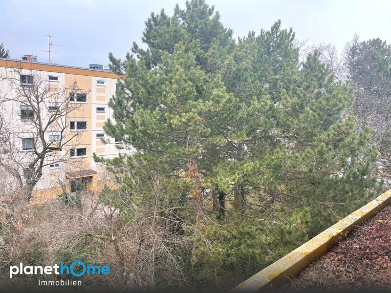 Gro�z�giges Wohnen nach Teilrenovierung /  / 2344&nbsp;Maria Enzersdorf / Bild 9