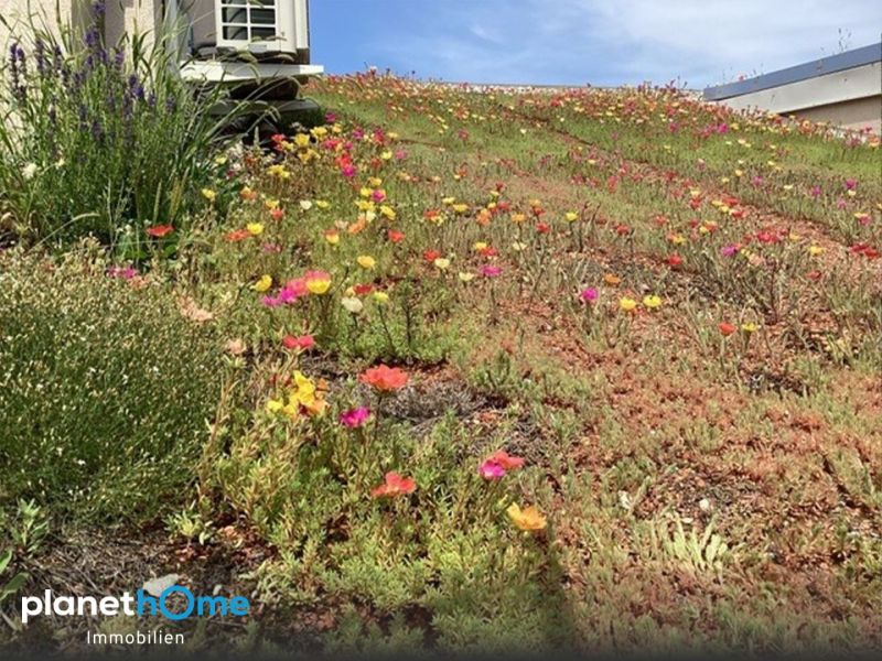 Charmantes Einfamilienhaus mit gem�tlicher Atmosph�re /  / 2751&nbsp;Steinabr�ckl / Bild 8