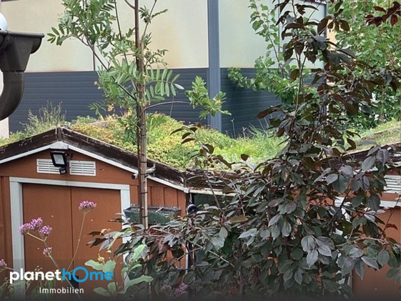 Charmantes Einfamilienhaus mit gem�tlicher Atmosph�re /  / 2751&nbsp;Steinabr�ckl / Bild 9