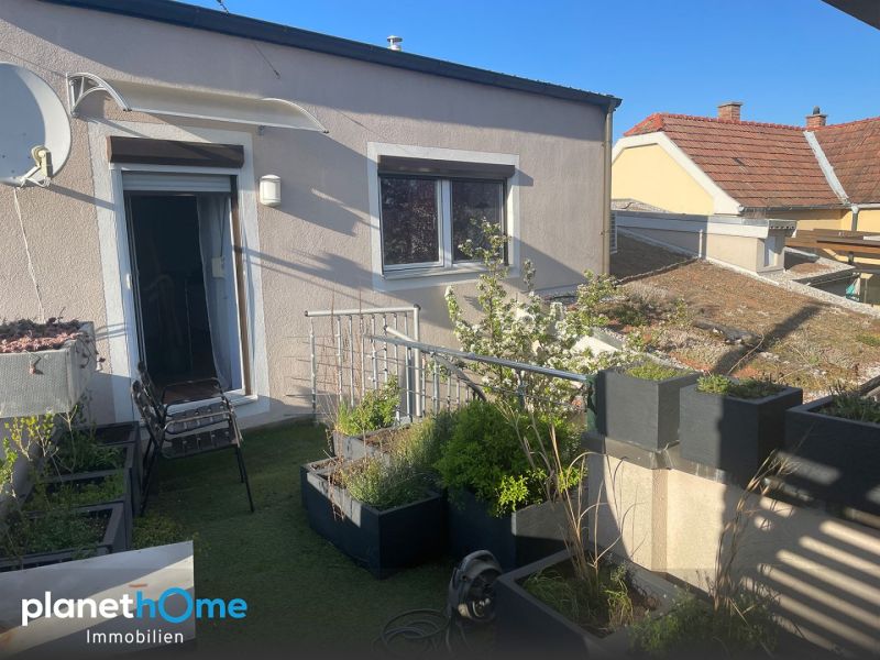 Charmantes Einfamilienhaus mit gem�tlicher Atmosph�re /  / 2751&nbsp;Steinabr�ckl / Bild 1