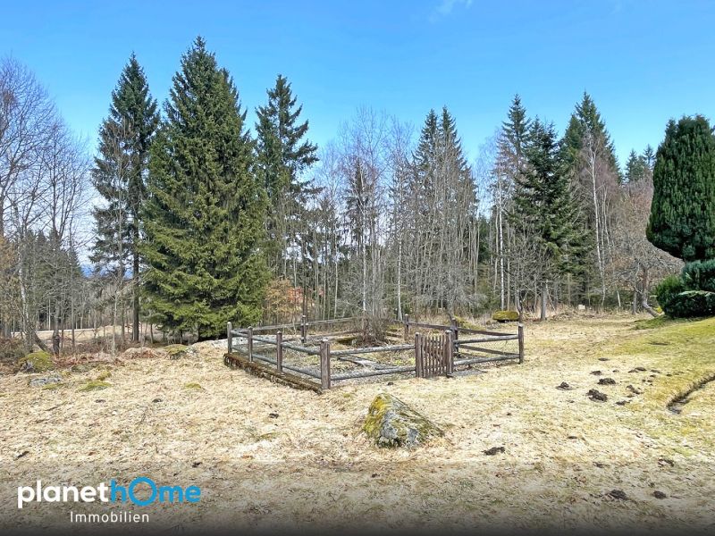 Haus in Alleinlage mit Wald im Naturgebiet /  / 3970&nbsp;Moorbad Harbach / Bild 8