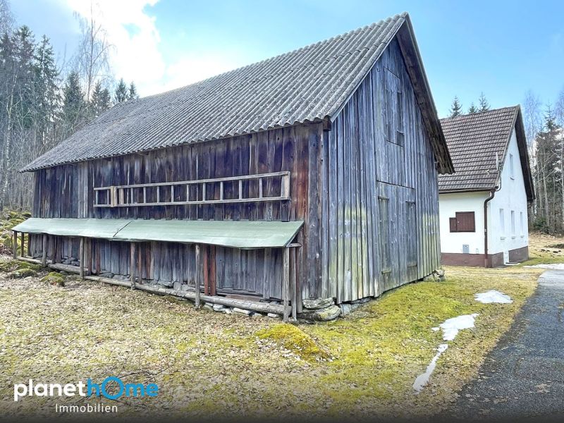 Haus in Alleinlage mit Wald im Naturgebiet /  / 3970&nbsp;Moorbad Harbach / Bild 9