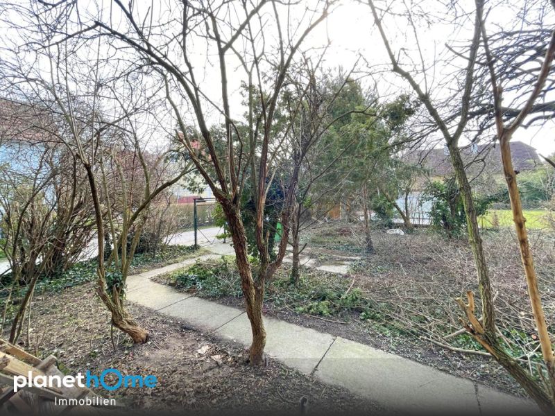 Herrlicher Baugrund in unmittelbarer N�he (ca. 450 m) zum Bahnhof Leopoldau! /  / 1210&nbsp;Wien / Bild 5