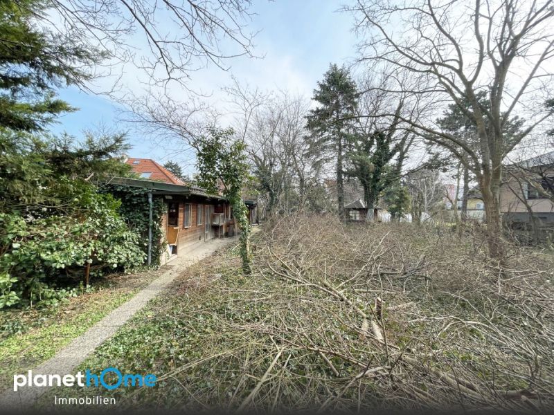 Herrlicher Baugrund in unmittelbarer N�he (ca. 450 m) zum Bahnhof Leopoldau! /  / 1210&nbsp;Wien / Bild 7