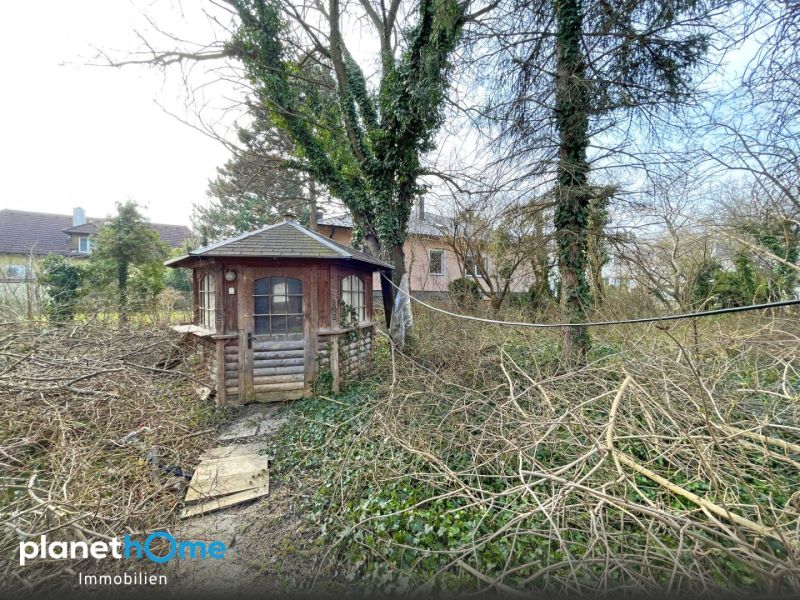 Herrlicher Baugrund in unmittelbarer N�he (ca. 450 m) zum Bahnhof Leopoldau! /  / 1210&nbsp;Wien / Bild 4