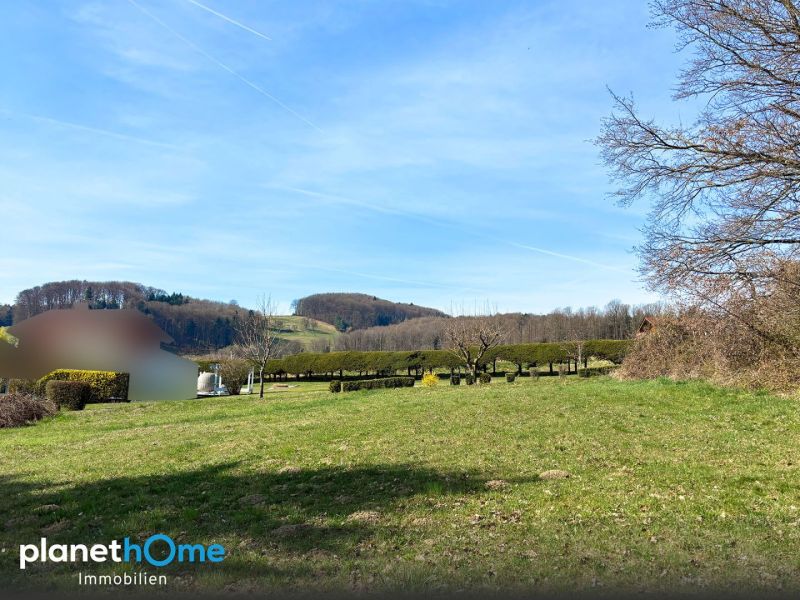 Grünlage mit Ausblick / / 3062 Kirchstetten / Bild 0