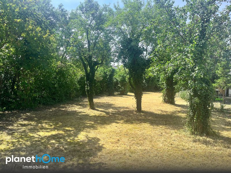 Ich träum von Eßling - ca. 500 m² Eigengrund für naturnahes Wohnen! / / 1220 Wien / Bild 1