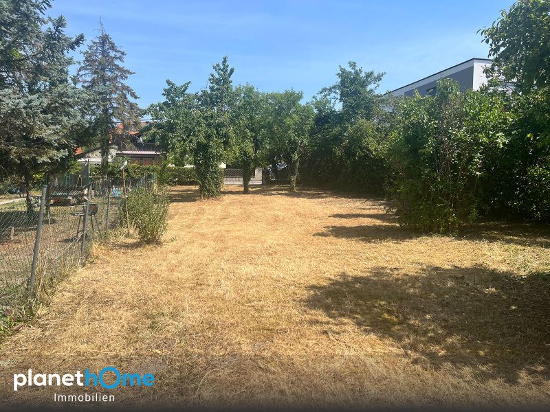 Ich träum von Eßling - ca. 500 m² Eigengrund für naturnahes Wohnen! / / 1220 Wien / Bild 2